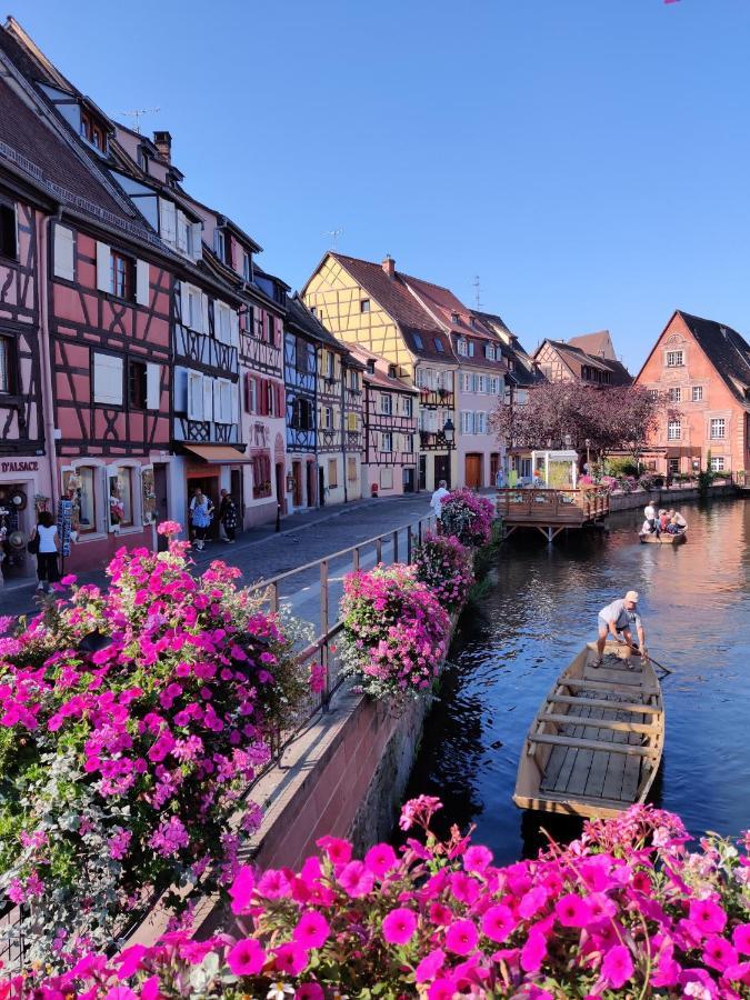 Au Bretzel Doré - Centre Historique Colmar Exterior foto